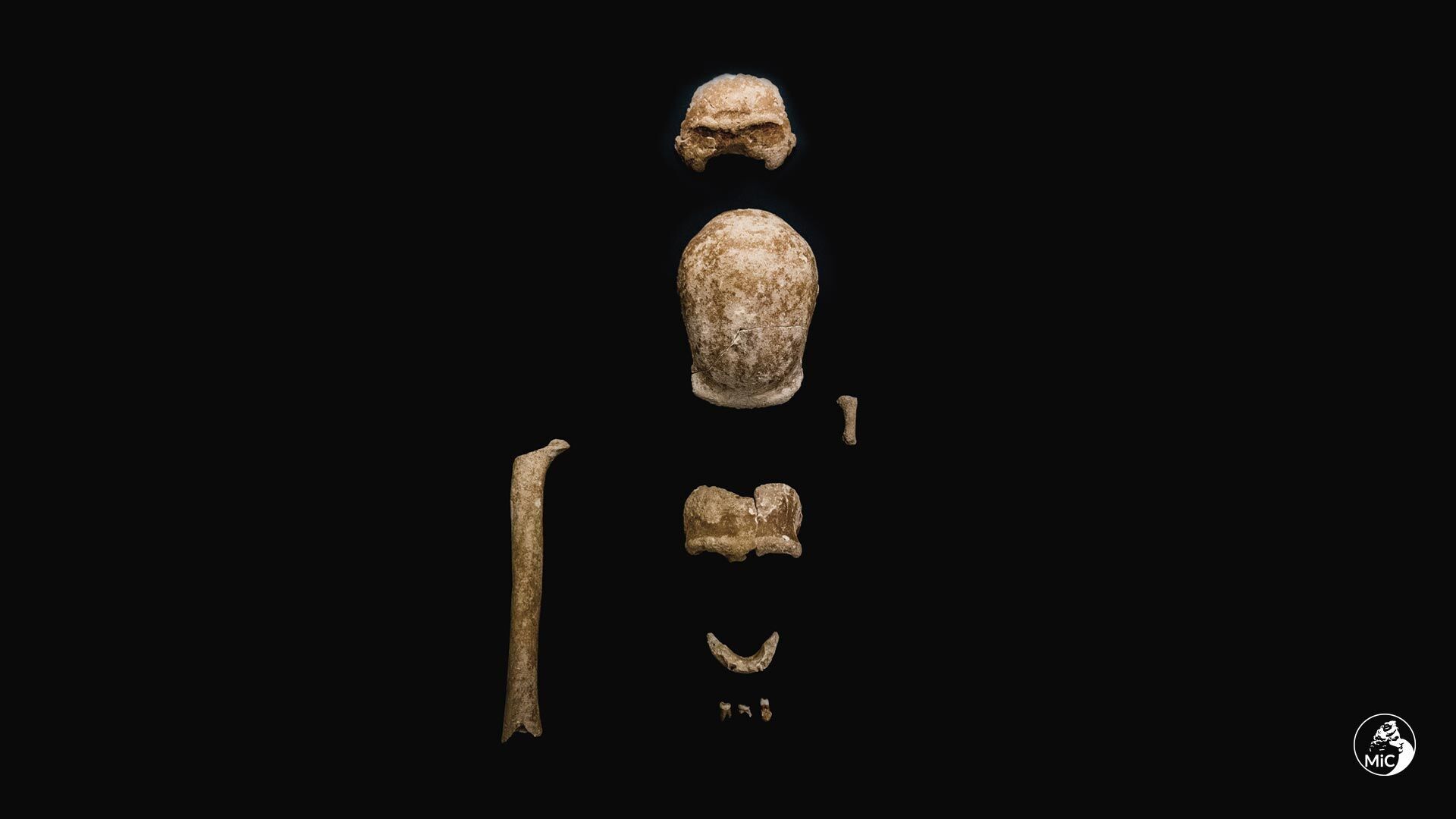 Близ Рима в пещере нашли останки 9 неандертальцев