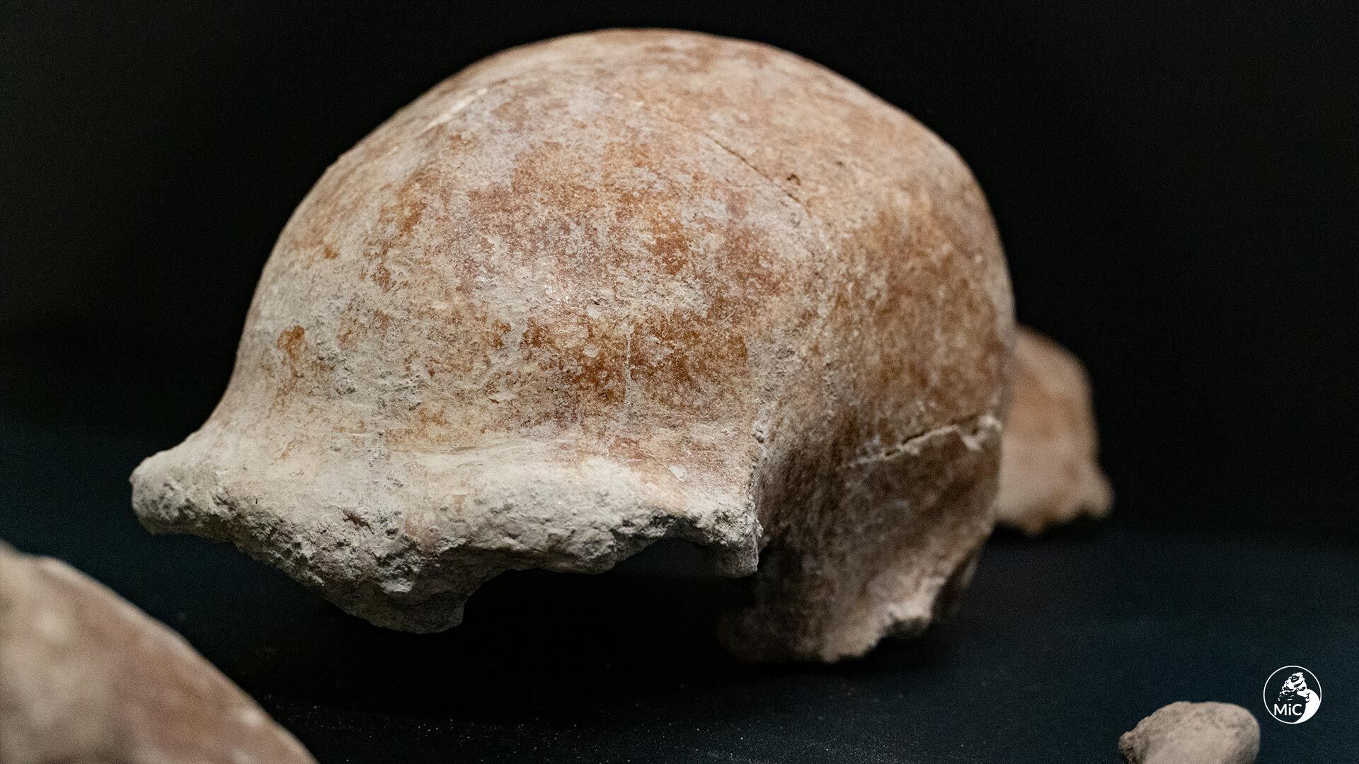 Скелети 8 неандертальців належать дорослим, а один підлітку