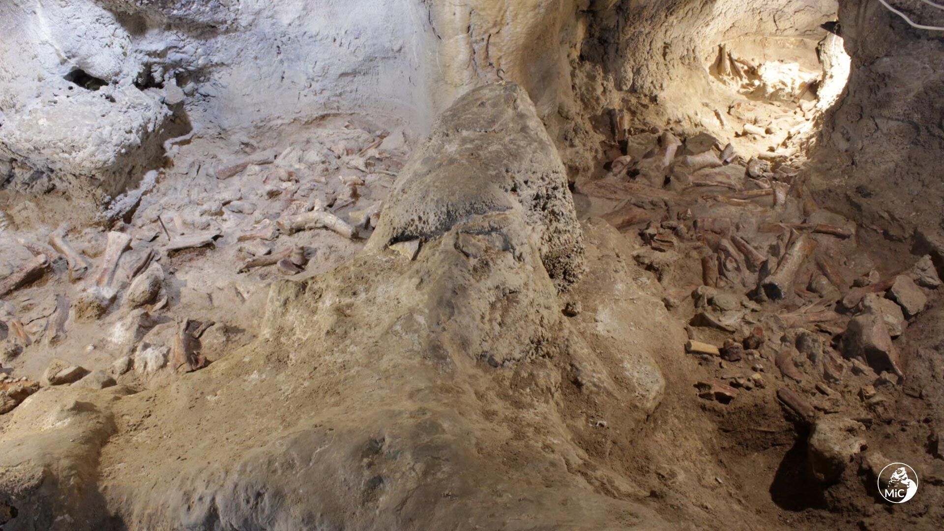 Більшість пращурів людей, чиї останки знайшли біля Риму, жили 50-68 тис. років тому