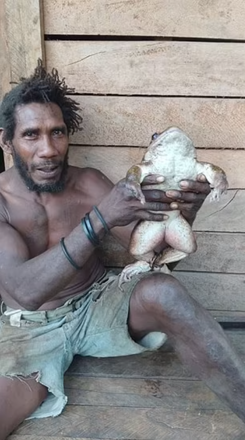 Мужчина нашел гигантскую лягушку