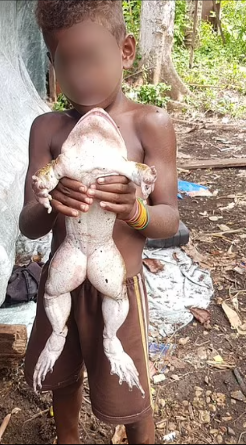 Чоловік знайшов жабу розміром із немовля