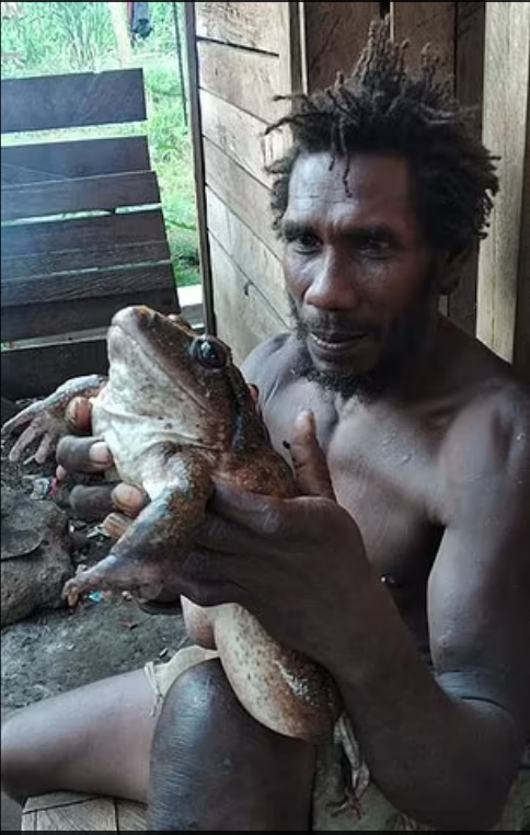Мужчина нашел лягушку размером с младенца и весом 1 кг