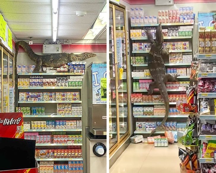 Звичайна пригода в тайському супермаркеті