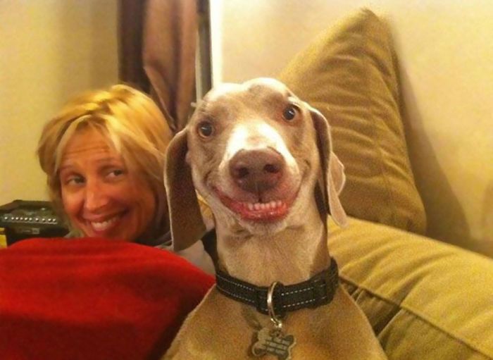 Пес повторяет улыбку хозяйки.