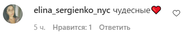 Пользователям сети очень понравились новые фото звездной пары