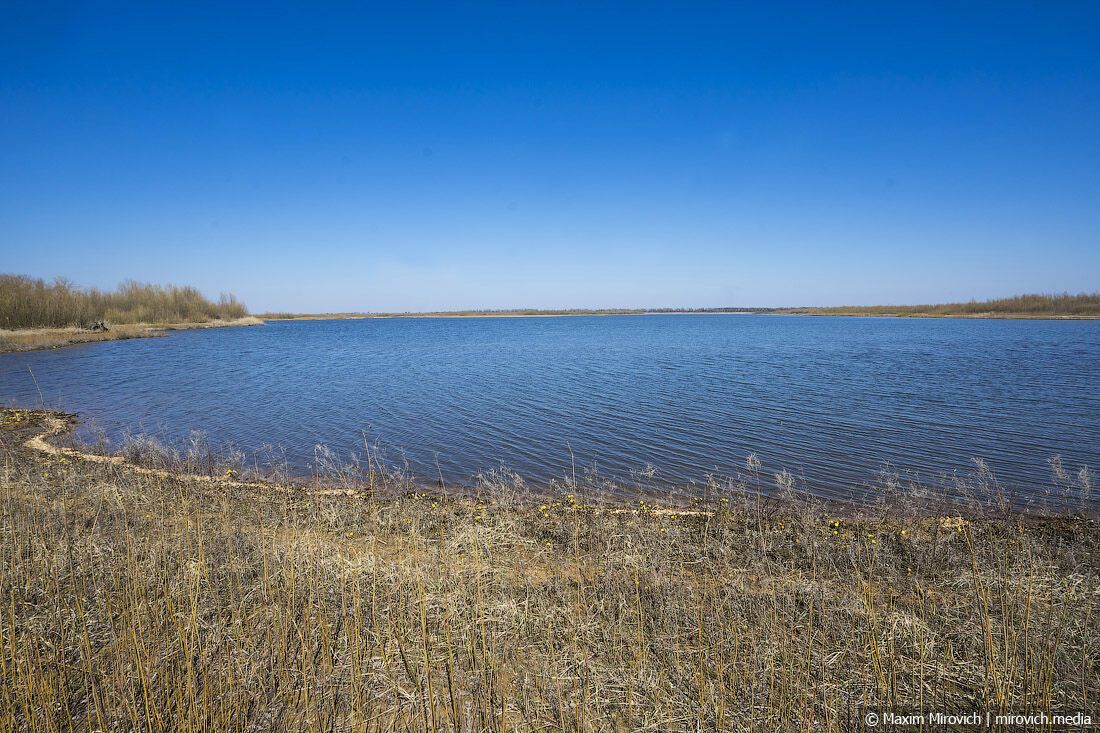 Пруд-охладитель ЧАЭС – искусственный водоем, который наполнялся водой из реки Припять