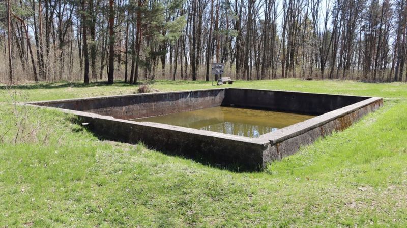 Современный вид ставки "Вервольф"