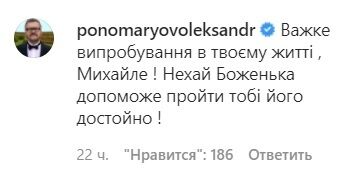 Коментар Пономарьова під фото