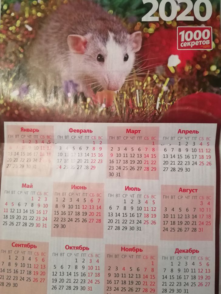Вряд ли кто-то обрадуется календарю с символом Нового года.