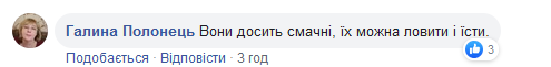 скриншот с Facebook