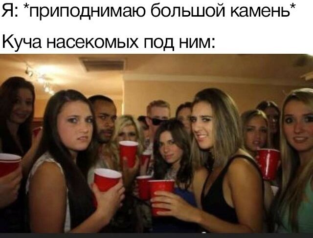 Мем о насекомых