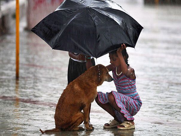 Девочка защитила зонтиком собаку во время дождя.