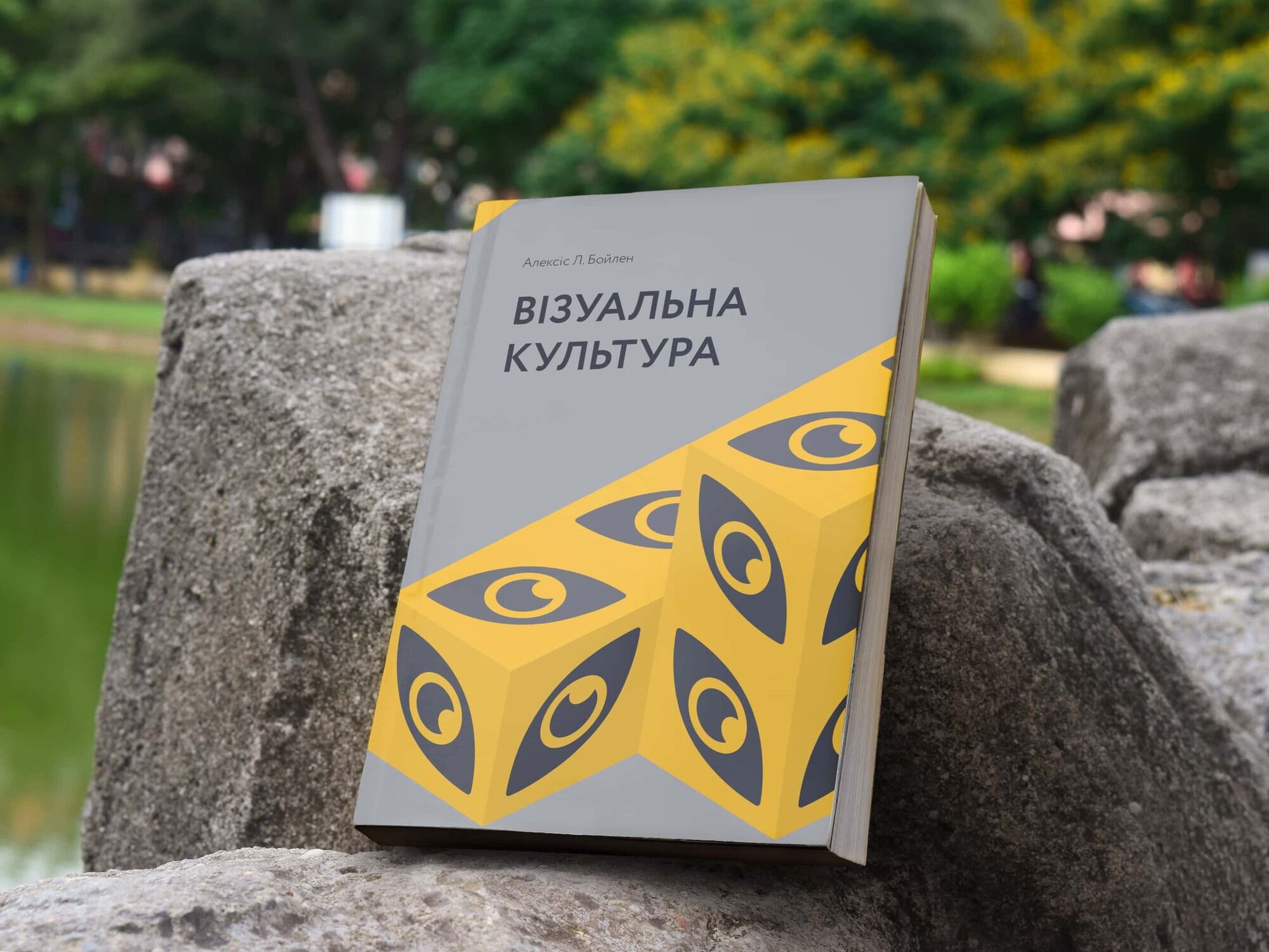 Алексіс Л. Бойл "Візуальна культура".