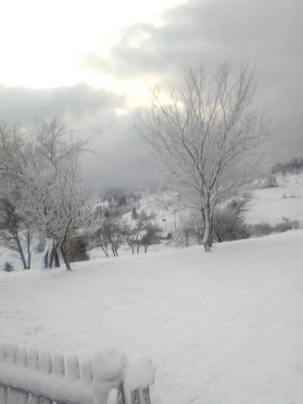 Село замело снегом.