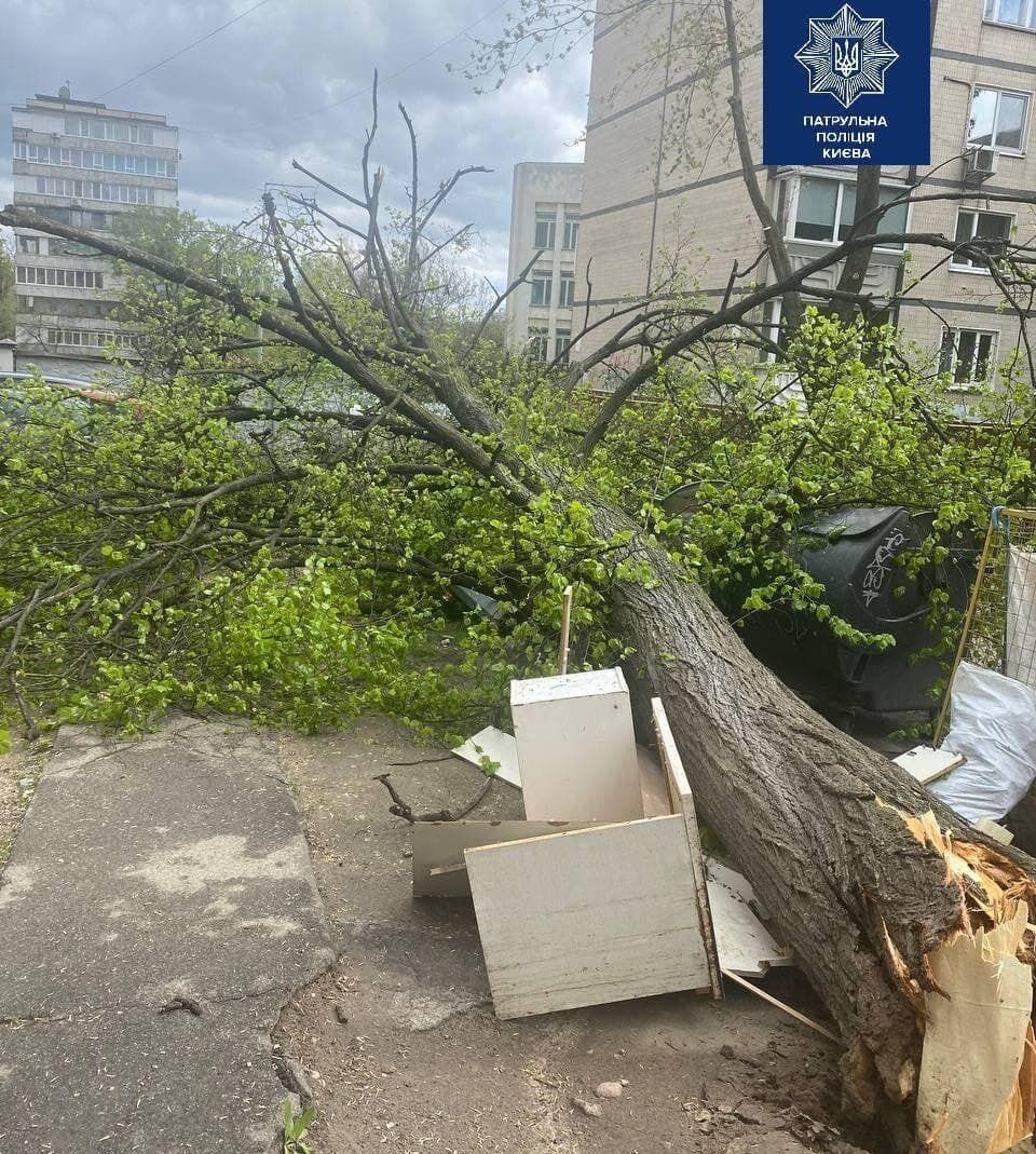 Дерево впало на вулиці Боткіна, 3