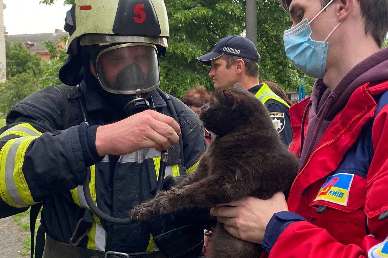 В одной из комнат пожарные нашли кота.