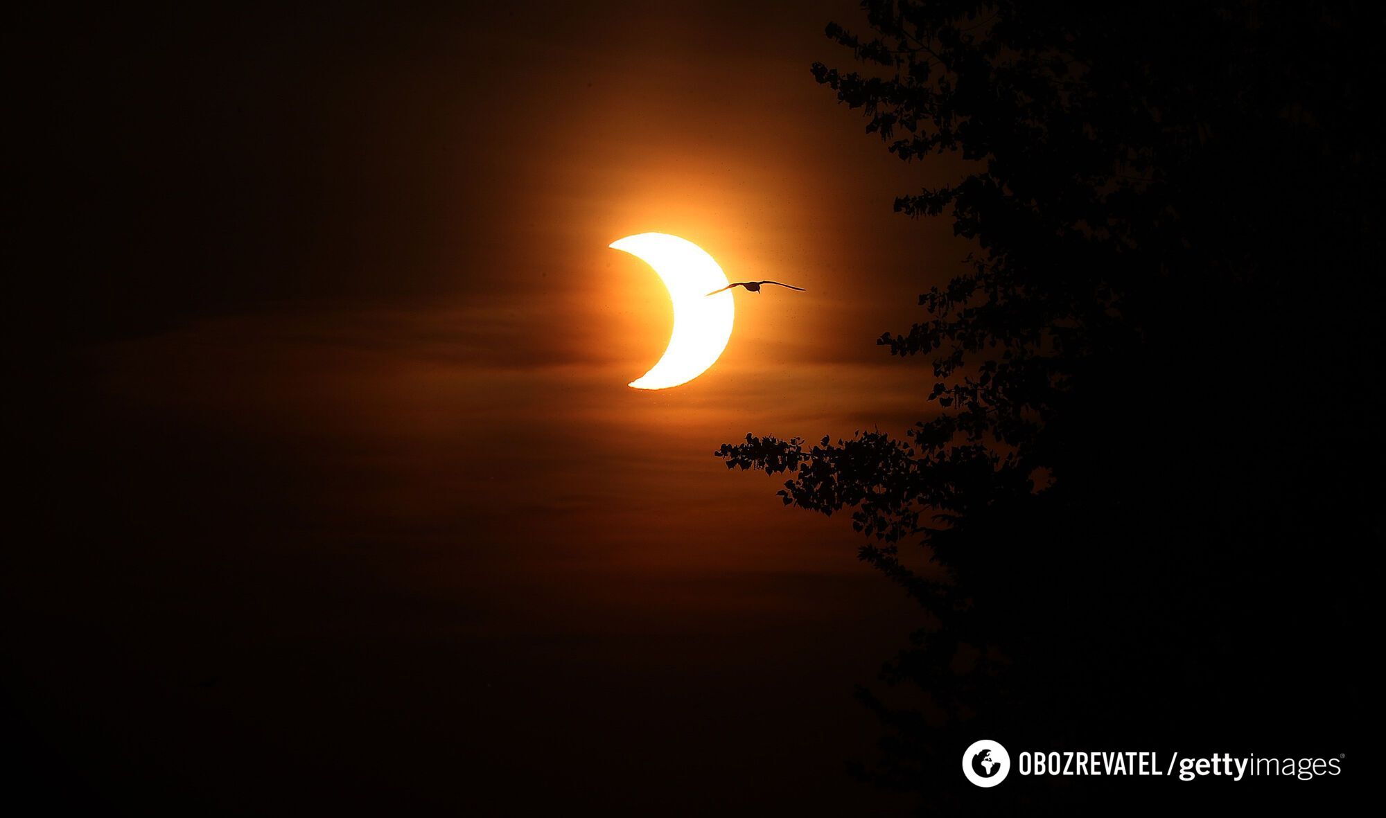 Сонячне затемнення в Канаді
