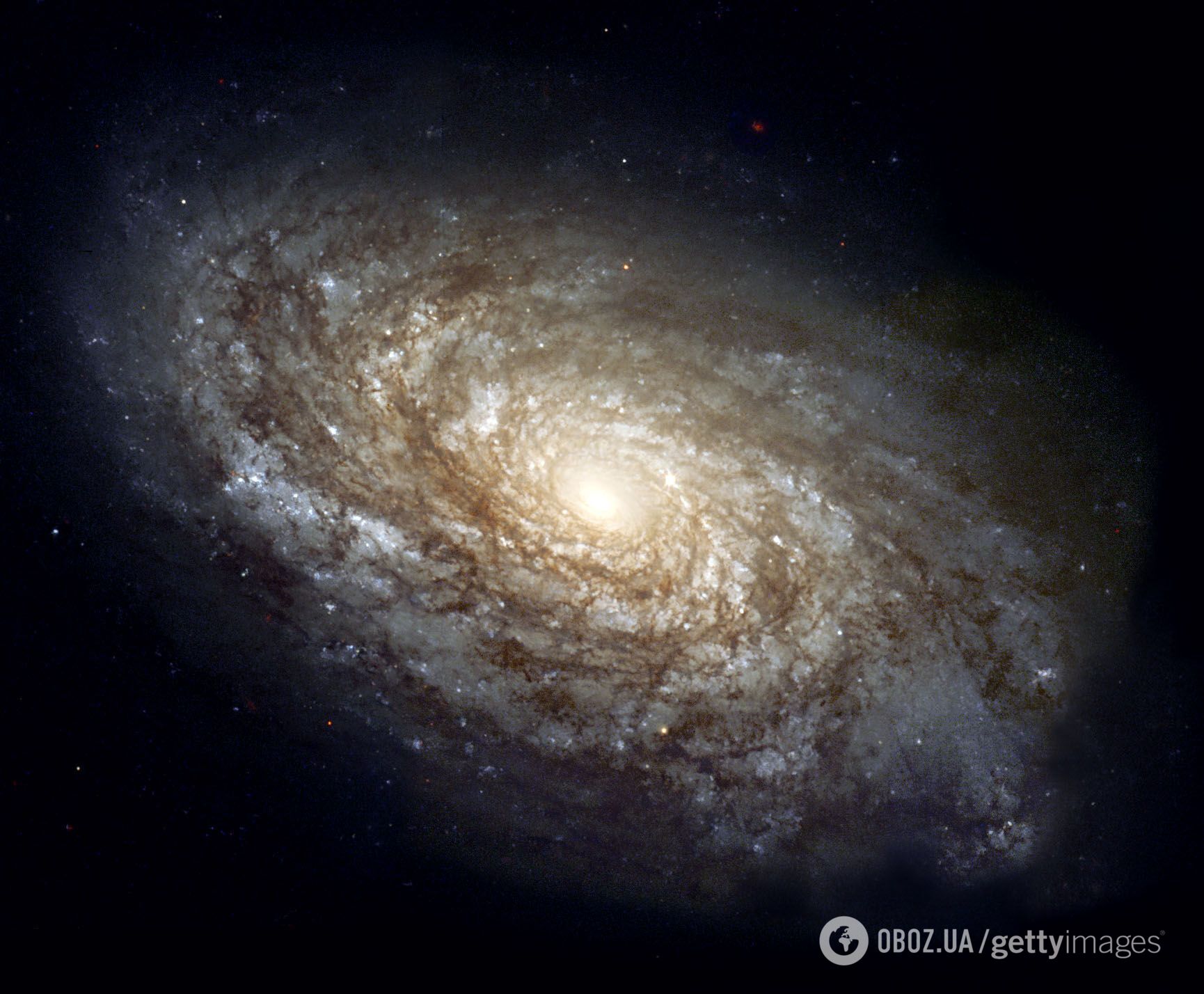 Спіральна галактика у Всесвіті