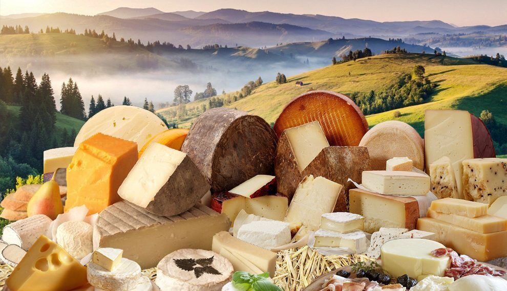 Карпатські сироварні виготовляють сир за спеціальною швейцарською технологією