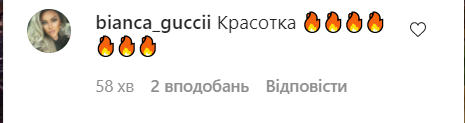 Шанувальники оцінили фото Каменських