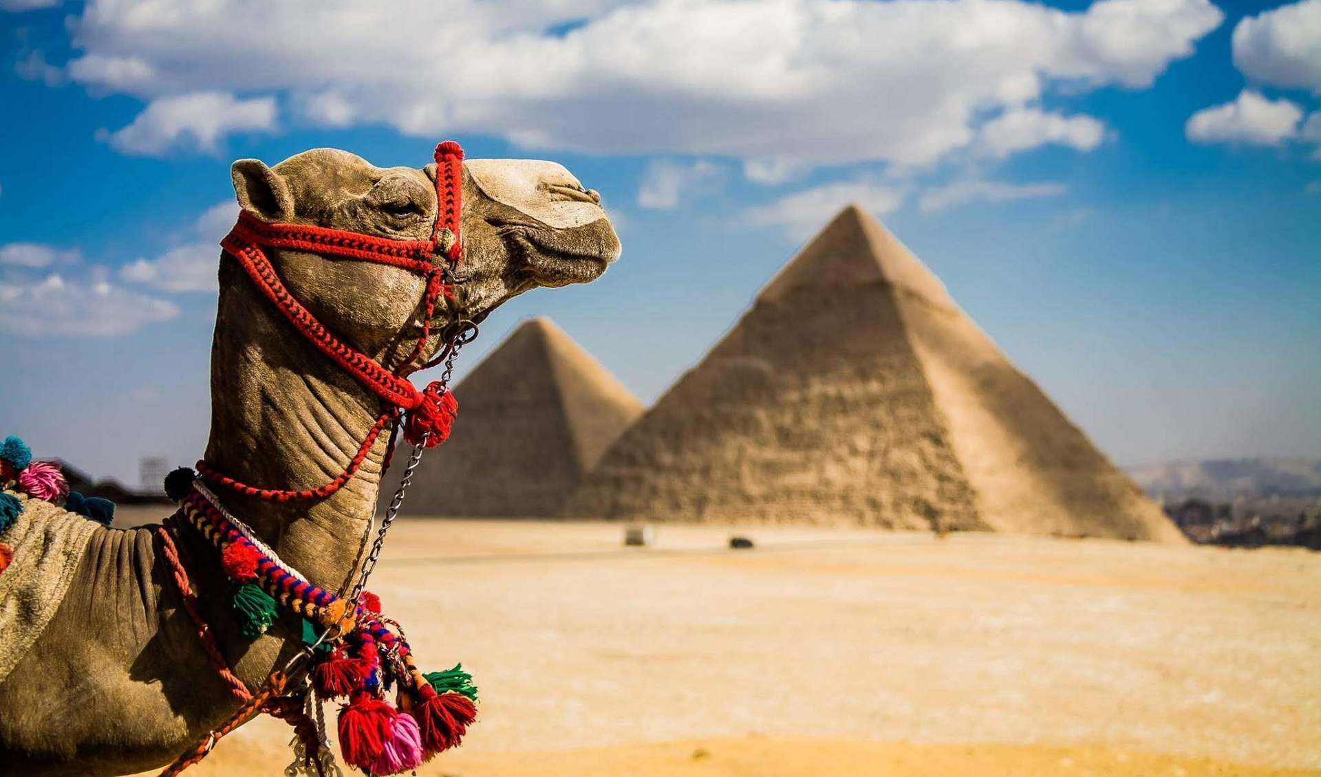 Самостоятельный отдых в Египте выйдет намного дороже, чем пакетный тур