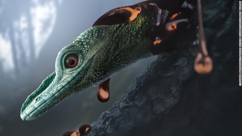 Изображение доисторической ящерицы, созданное с помощью компьютерной томографии