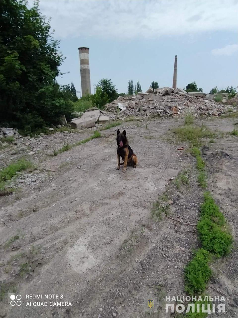 У пошуках дитини допоміг кінолог зі службовим собакою