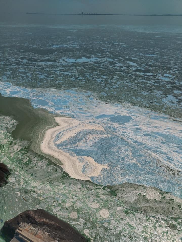 Вода в Каховському водосховищі зацвіла