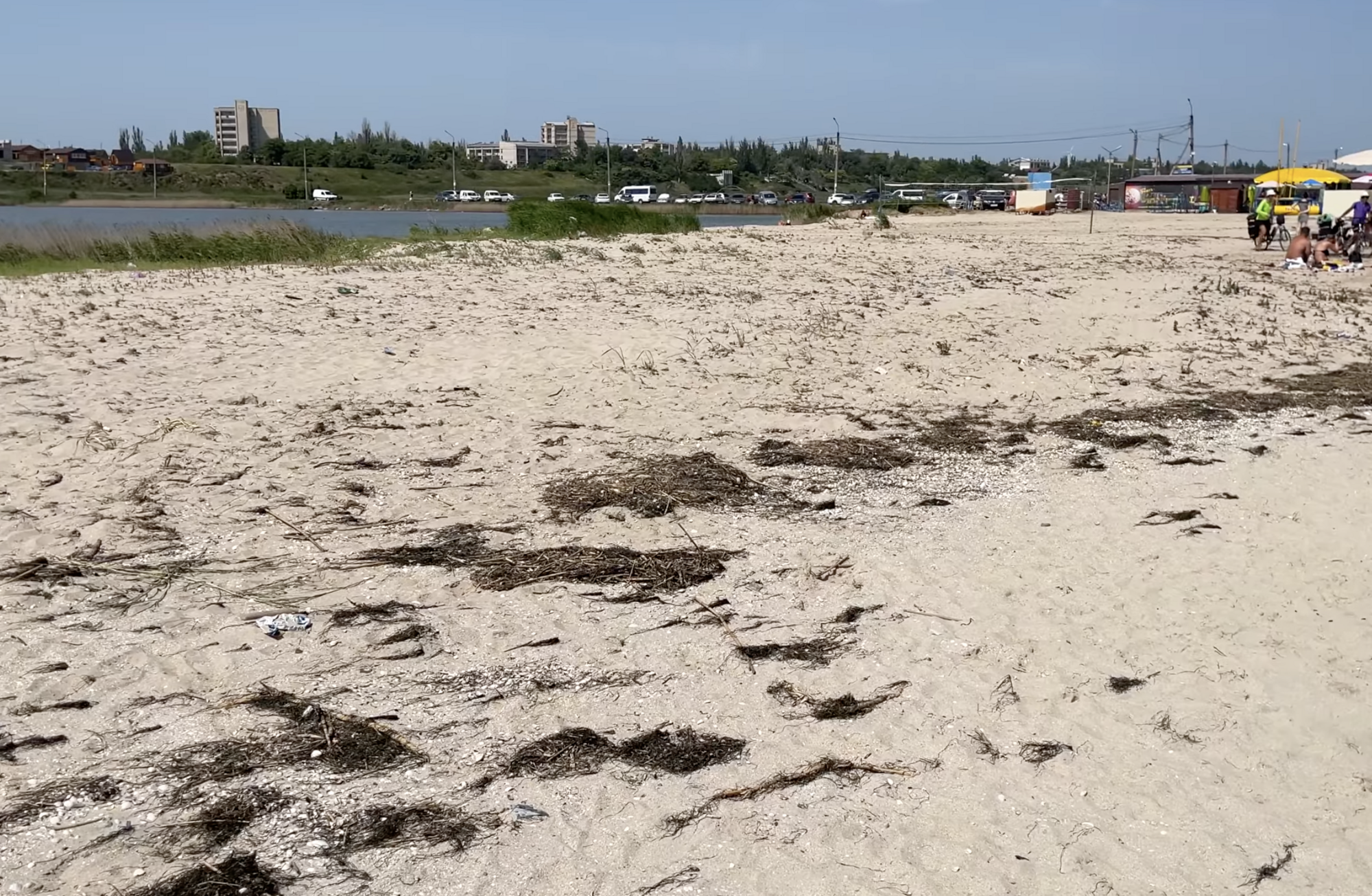 Узбережжя покрите сміттям і сухими водоростями