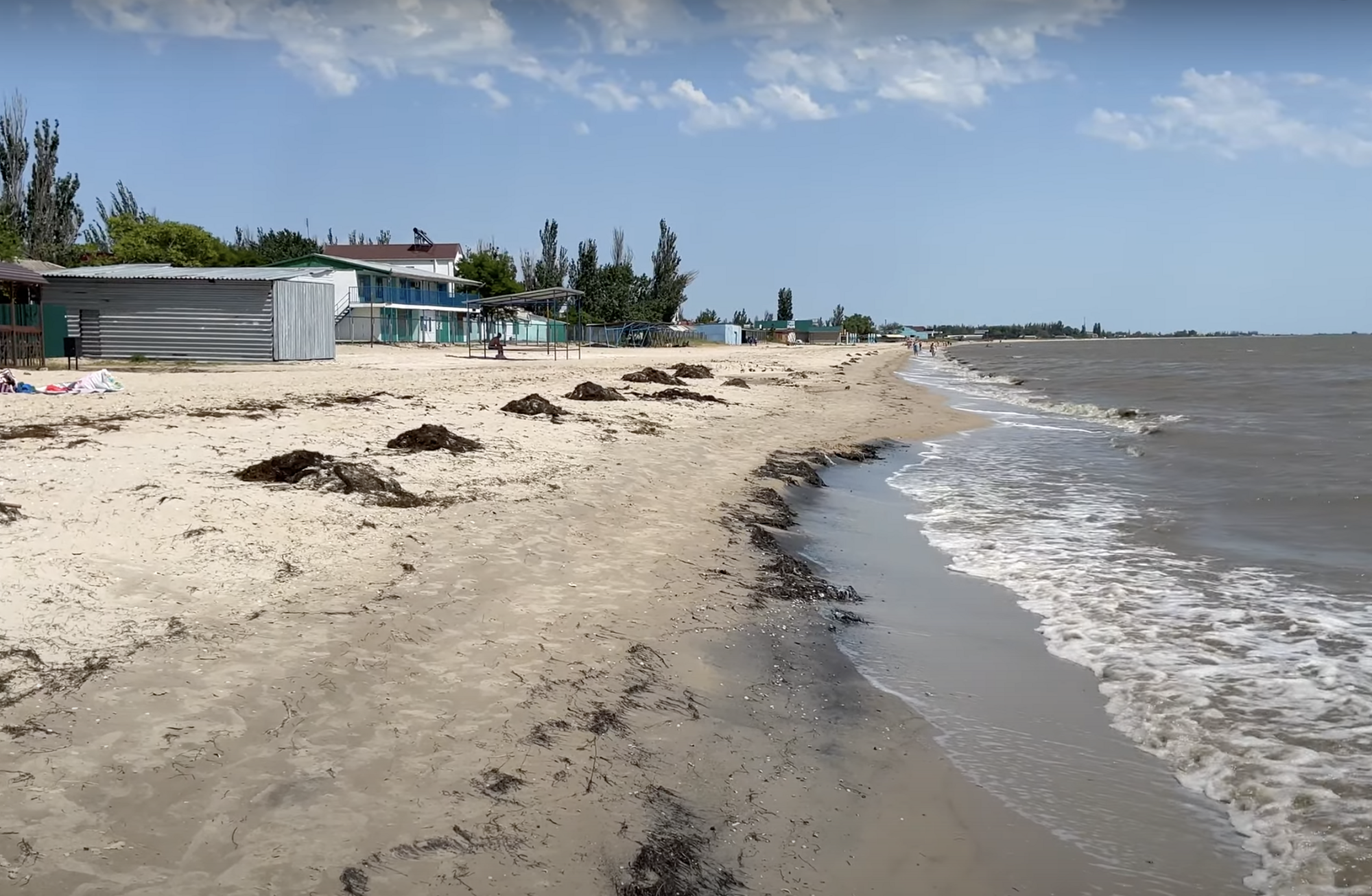 В поселке Ялта на побережье много сухих водорослей.