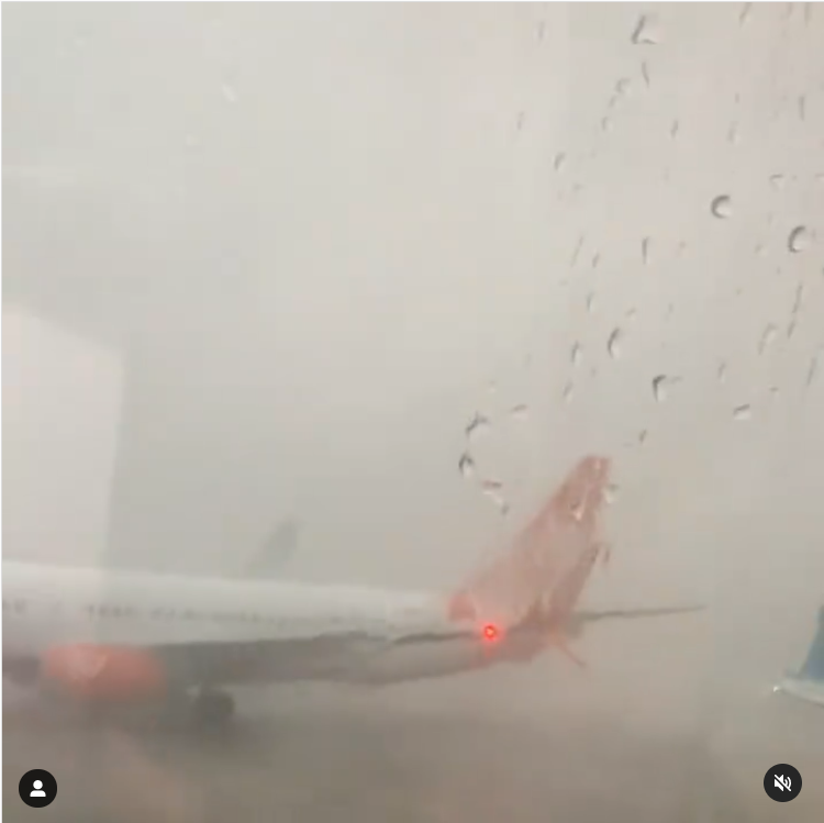 Осадчая и Горбунов в самолете попали в ураган