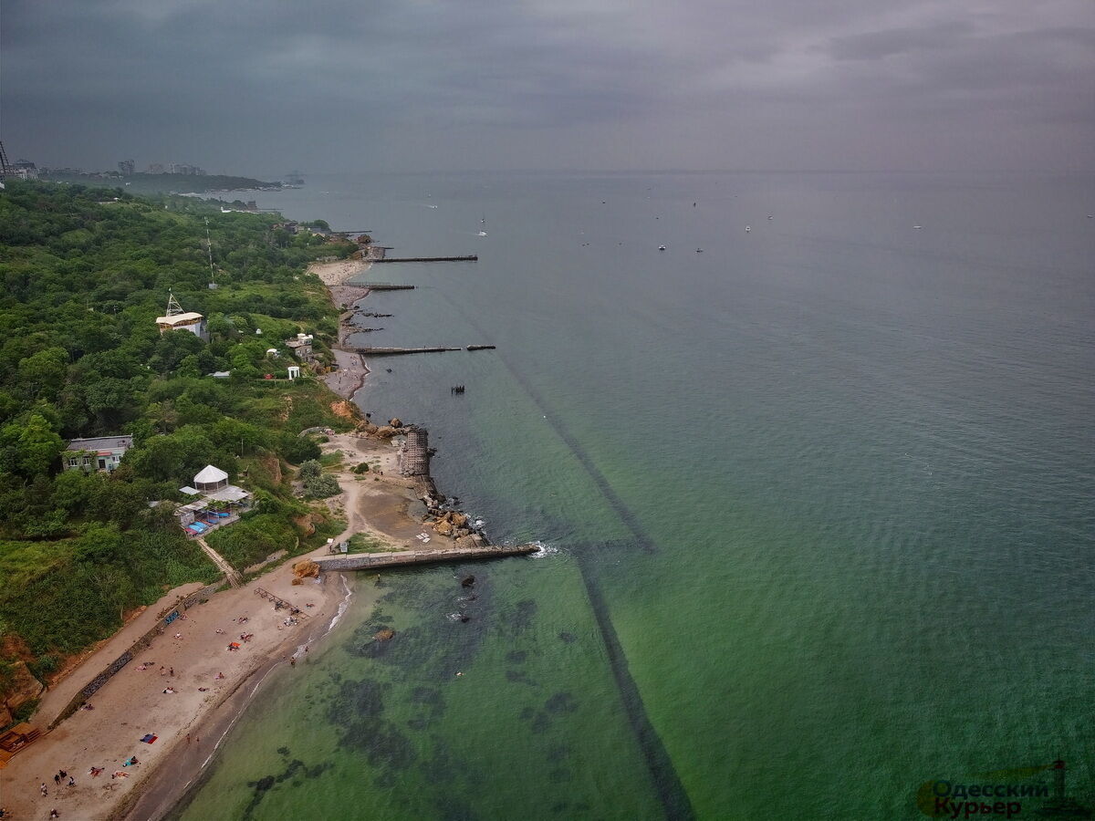 Черное море в Одессе "позеленело"