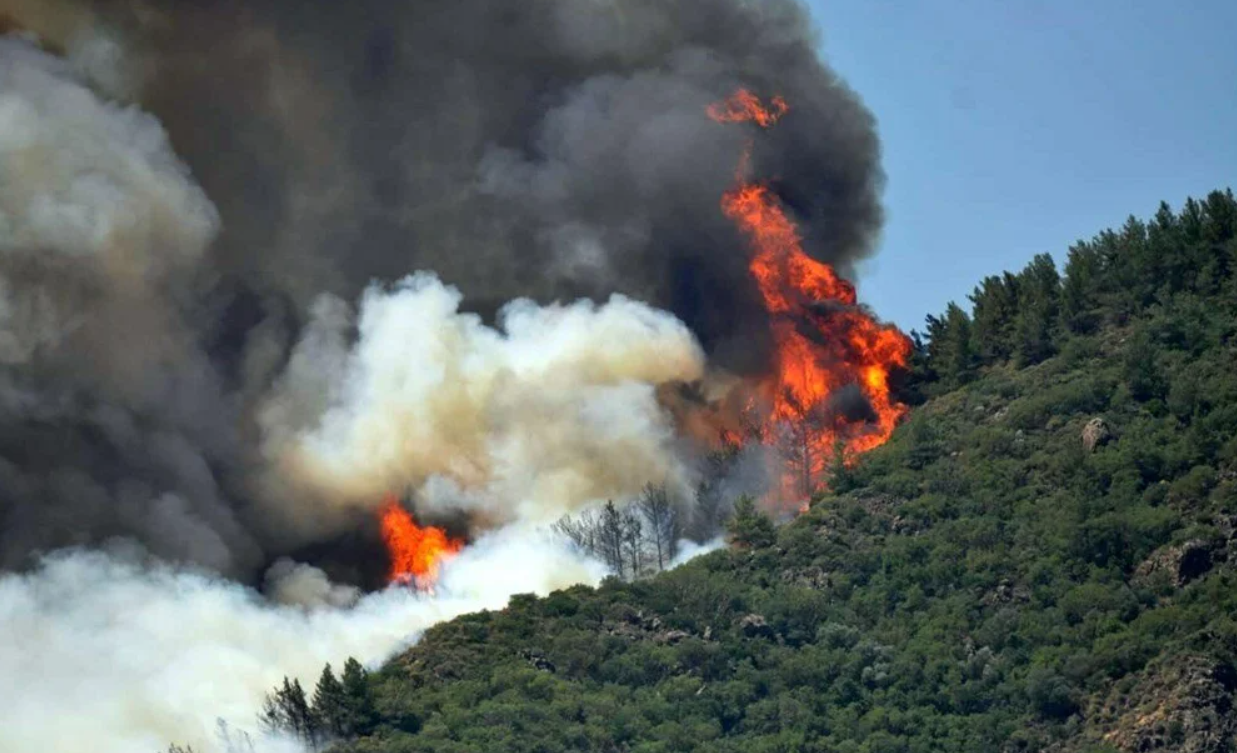 Загорелись леса в Турции