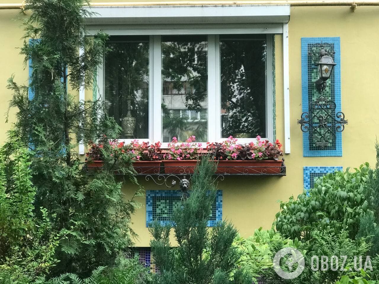 Киевлянка создала чудо-двор в спальном районе столицы.