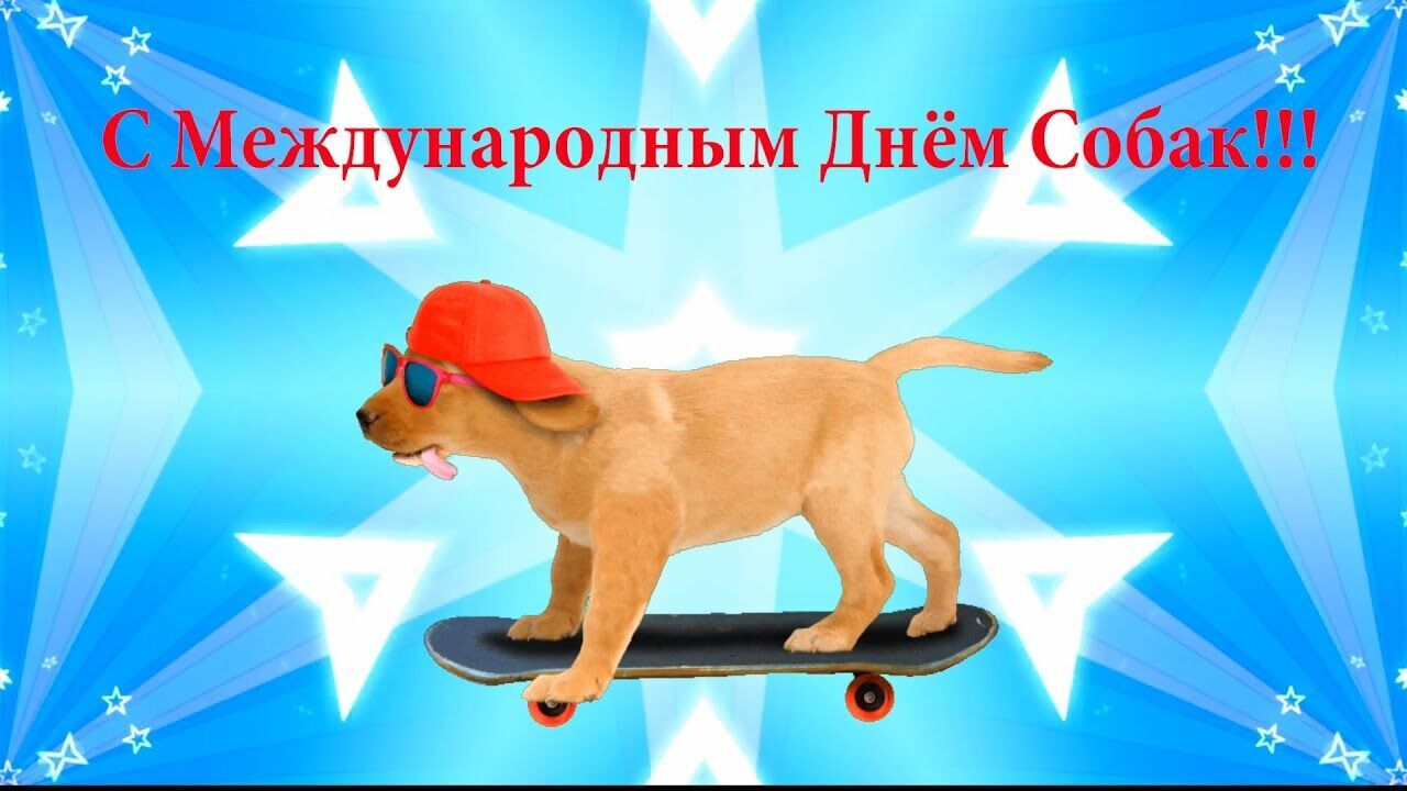 2 июля всемирный день собаки открытки