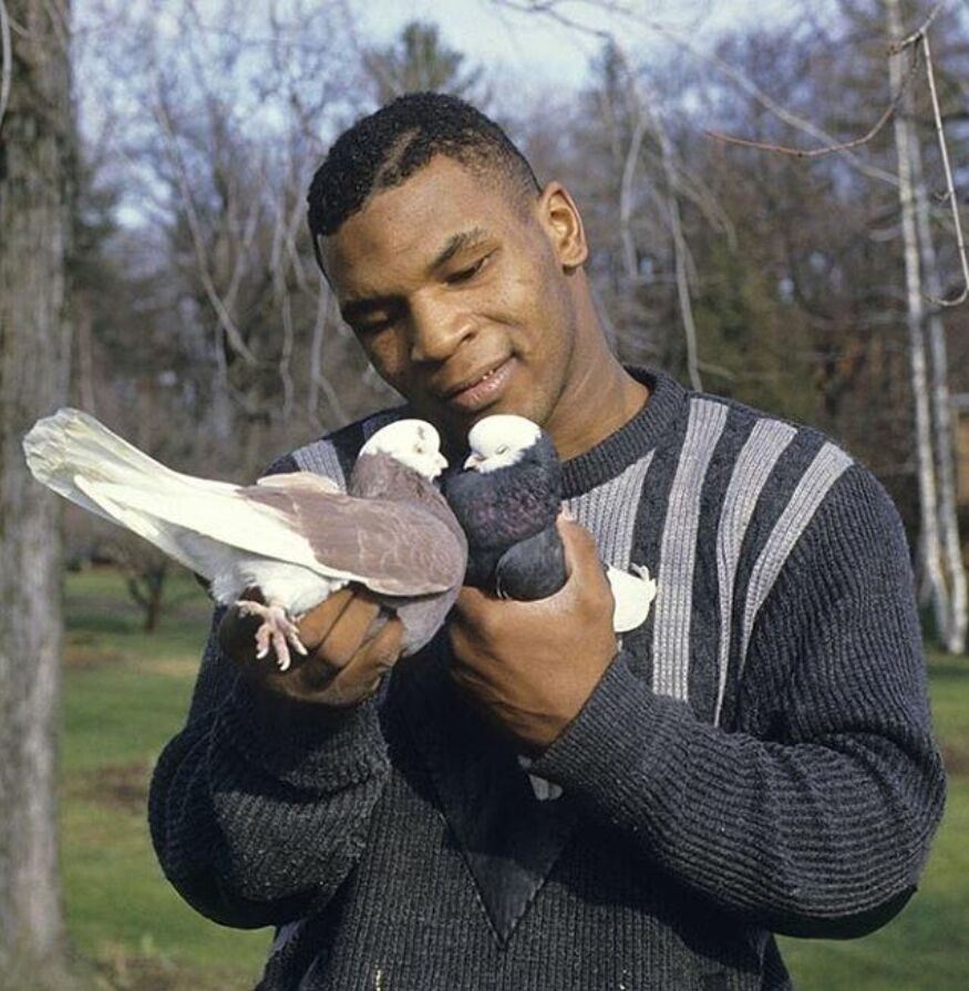 Майк Тайсон с голубями, 1985 год