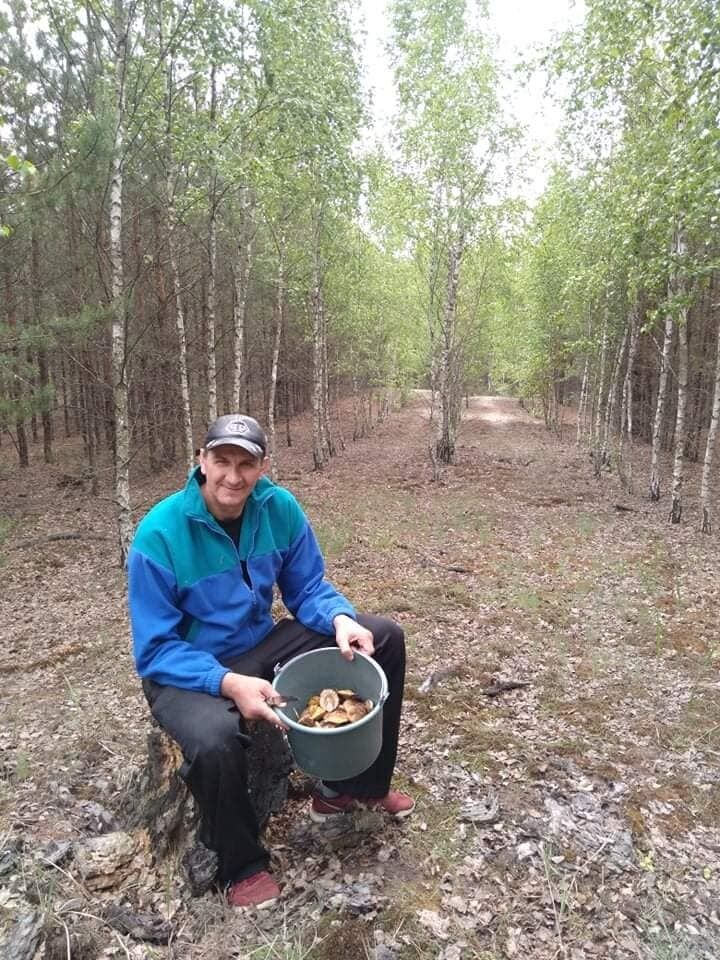 Сбор грибов в Буче