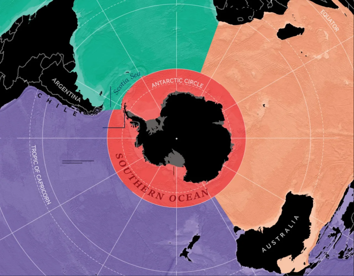 На малюнку, в центрі якого Південний полюс, океан-новачок виділено червоним кольором