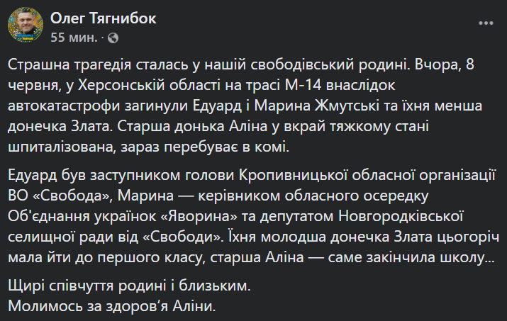 На Херсонщині в ДТП загинув "свободівець" із сім'єю: одну дитину рятують лікарі. Фото