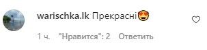 У мережі оцінили фото Нікітюк і Заливака