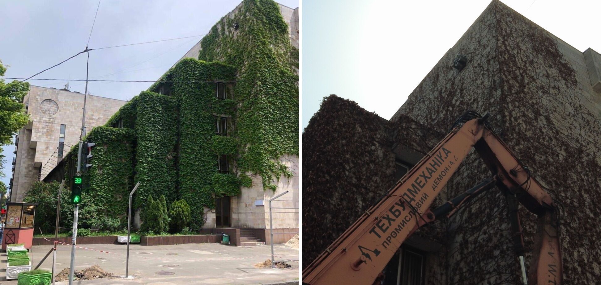Будівельники обрізали коріння 30-річного винограду
