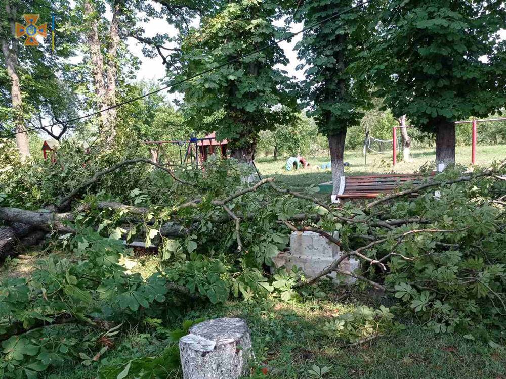 Рятувальники ліквідовують наслідки негоди.