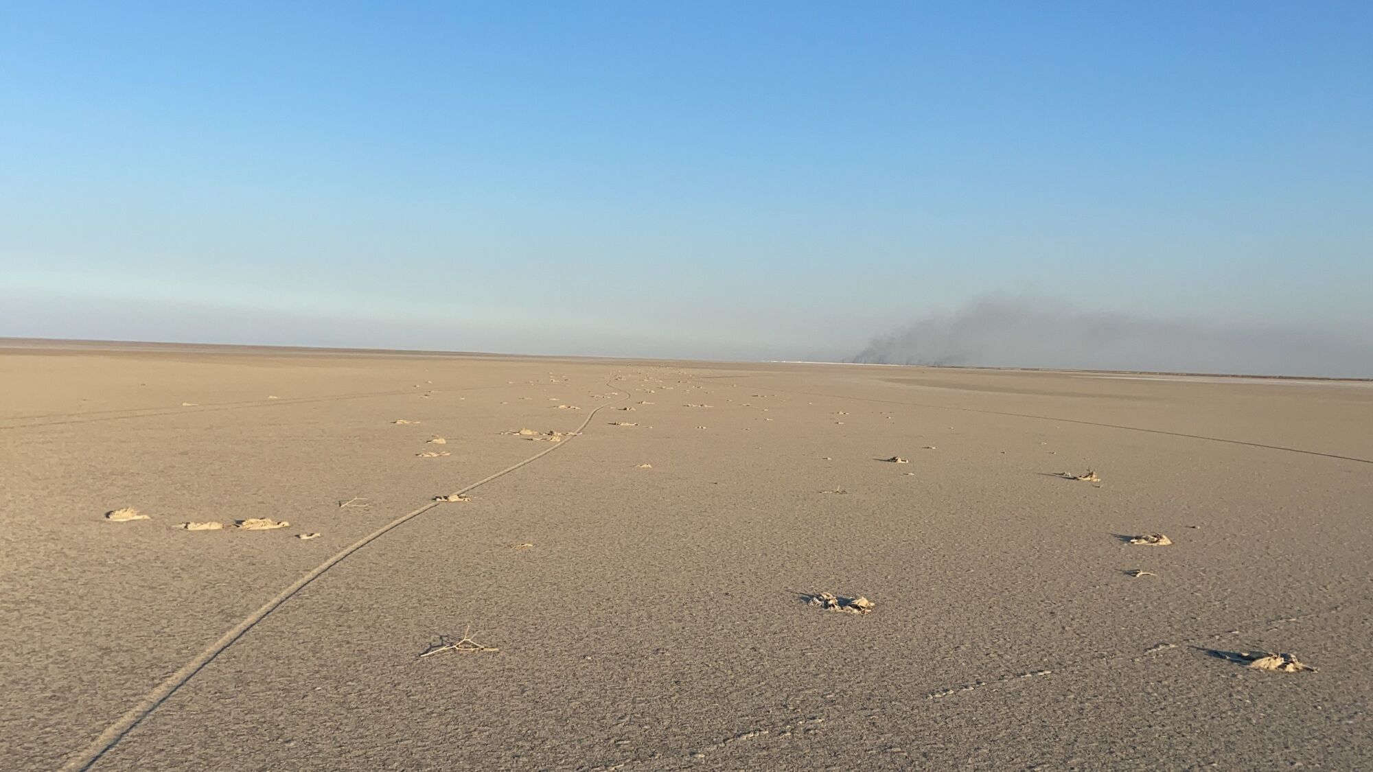 Туші фламінго усівають висохле дно озера