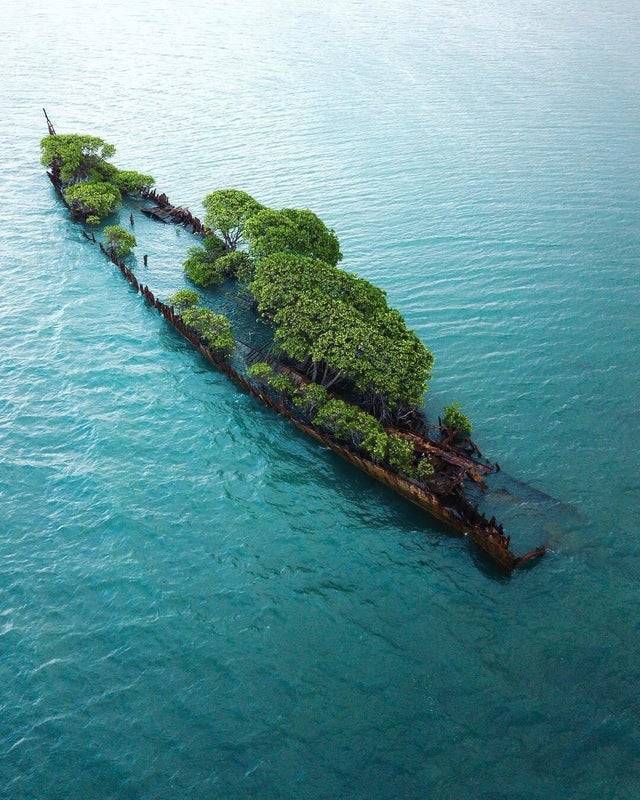 На затонувшем корабле появляется остров.