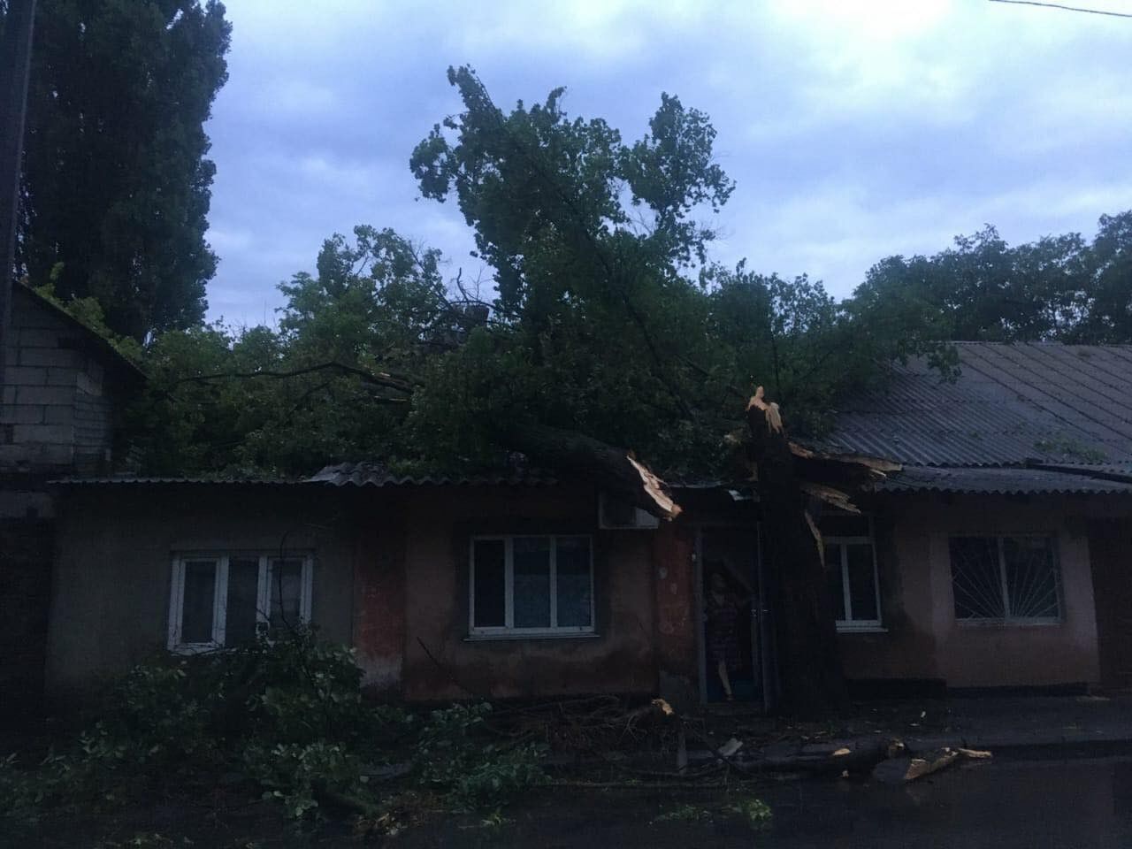 Дерево впало на будинок