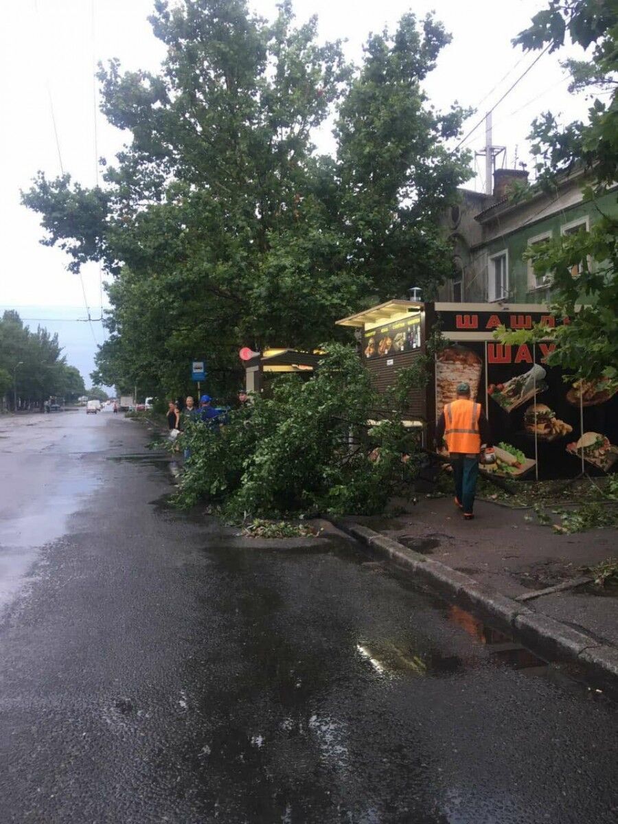 Деревья упали на дорогу