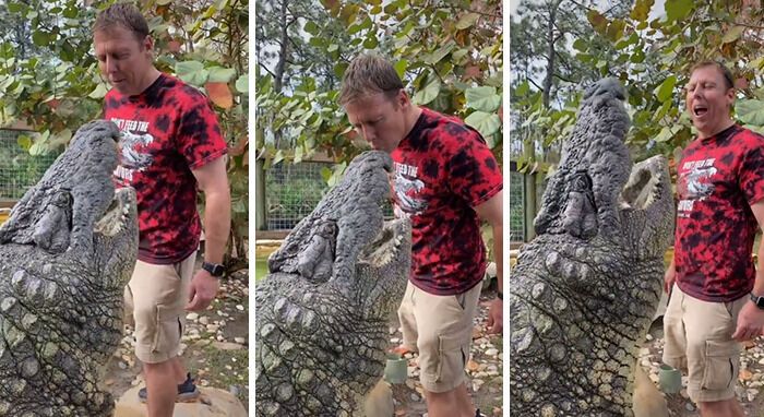Смелый хозяин поцеловал крокодила.
