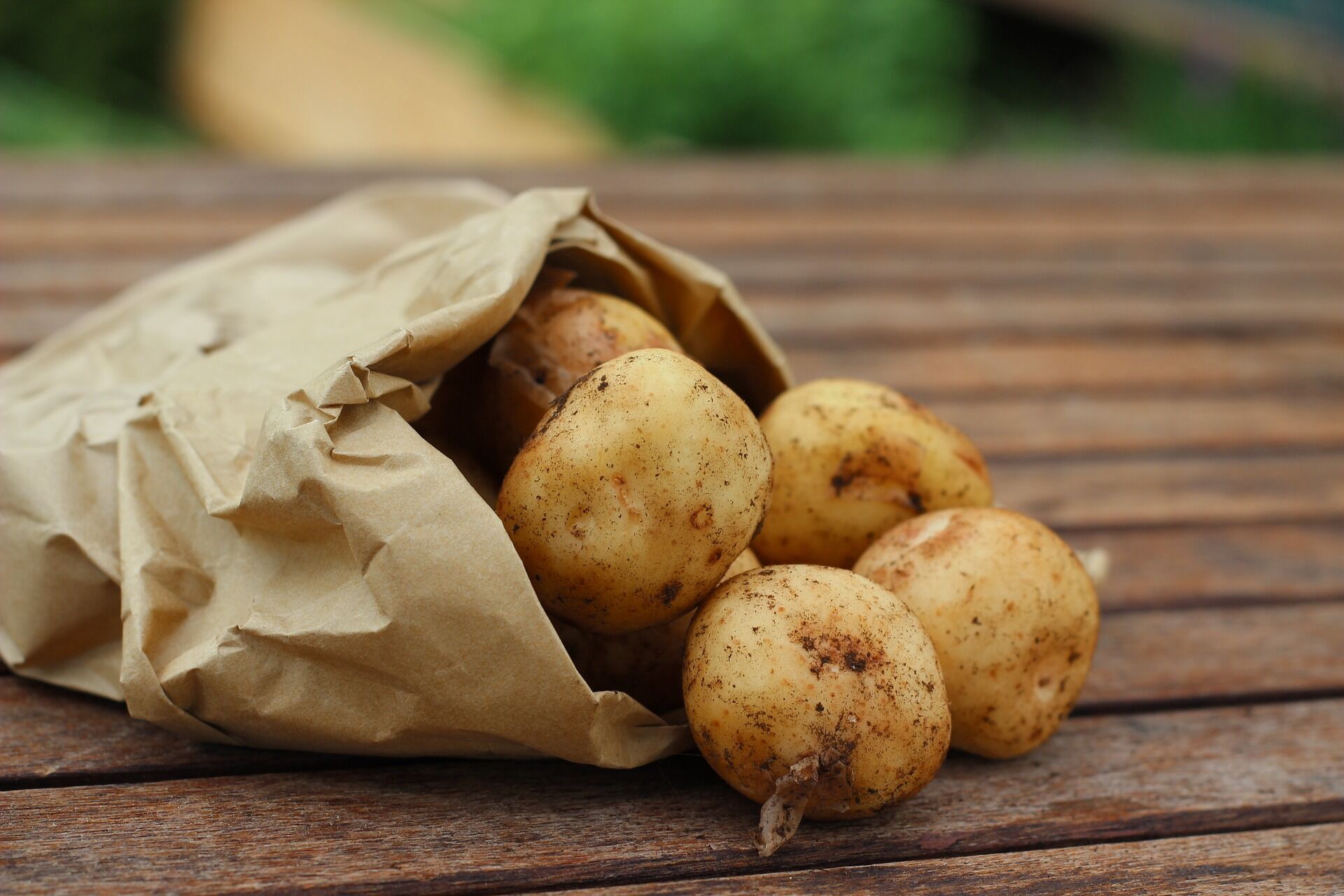 Хинкали можно делать с картофельной начинкой