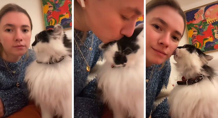 Кошка поцеловала девушку.