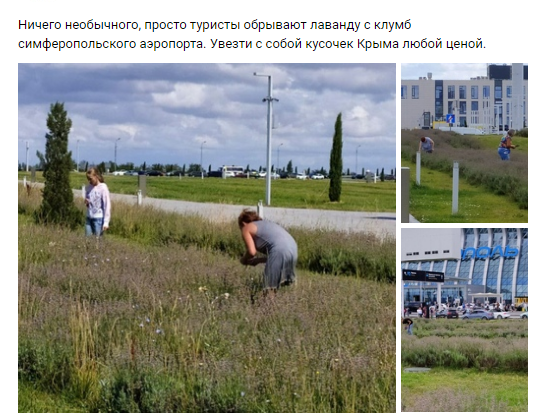 Новости Крымнаша. Лицемерные твари
